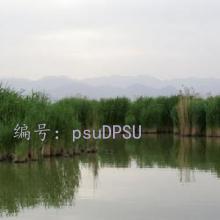 ĺ֮