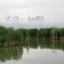 Բ