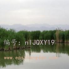 ҵ