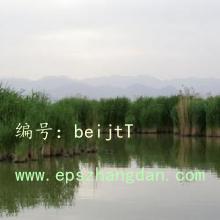 ĺ֮
