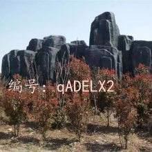 ĺ֮